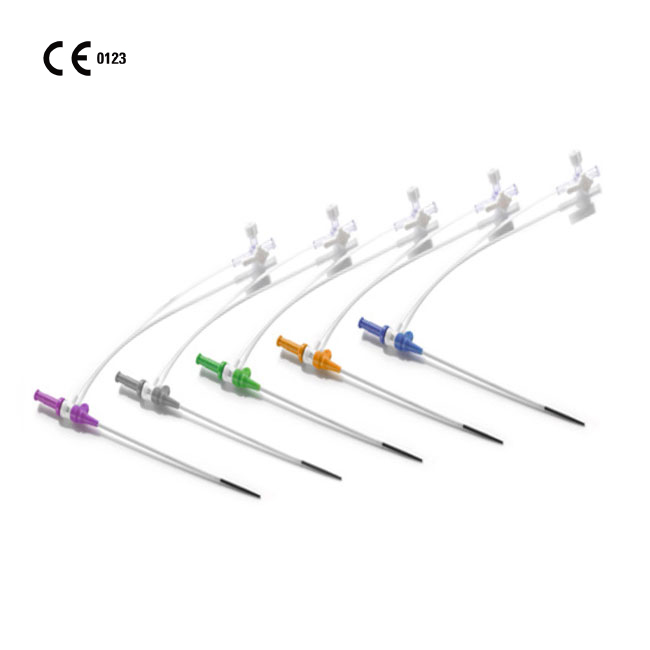 Percutaneous Disposable Therapy Sheath lntroducer from China ...