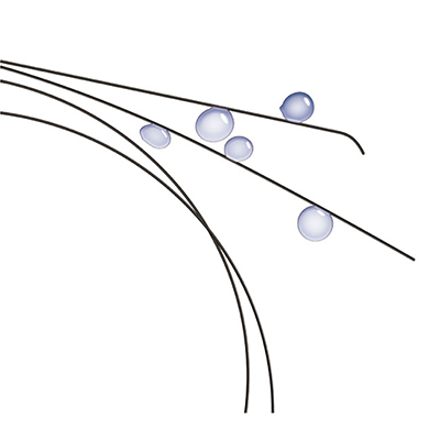 Hydrophilic Guidewire