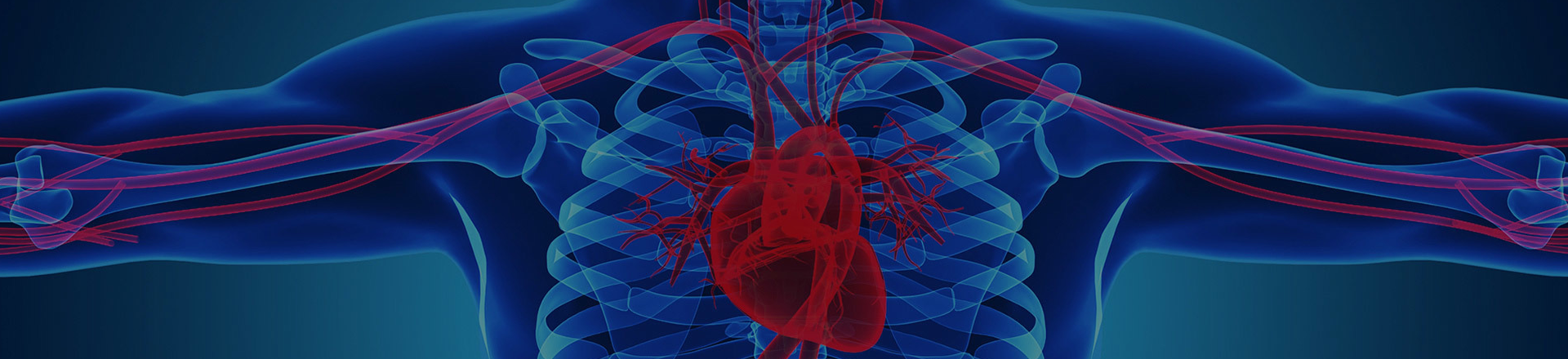 Vascular Interventional Solutions and Devices