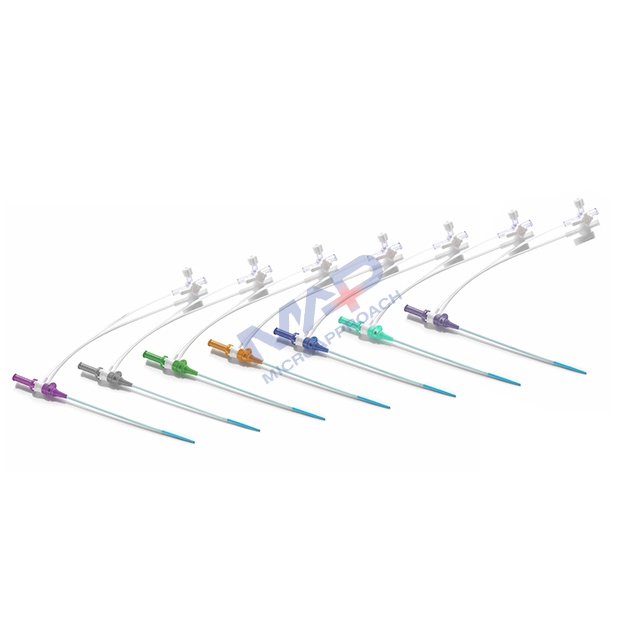 Sheath Introducer